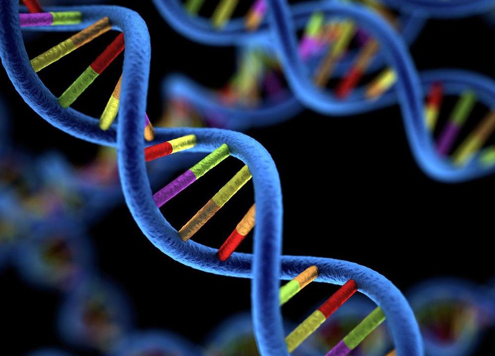 Genomics and why it has the potential to transform the future of medicine
